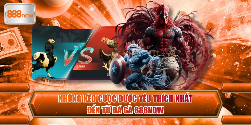 Tổng hợp top kèo cá cược Đá gà 888now hấp dẫn nhất