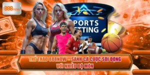 Thể Thao 888now – Sảnh Cá Cược Sôi Động Với Nhiều Bộ Môn